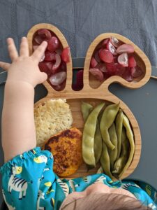 Assiette de diversification menée par l'enfant