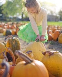 pumpkins, little girl, pumpkin patch-2878159.jpg
